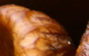 sulfiet in gedroogd fruit